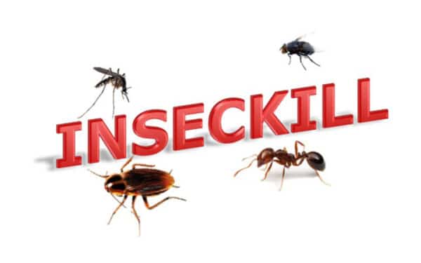 Insecticida - Image 2