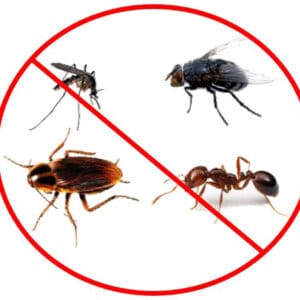 Insecticida