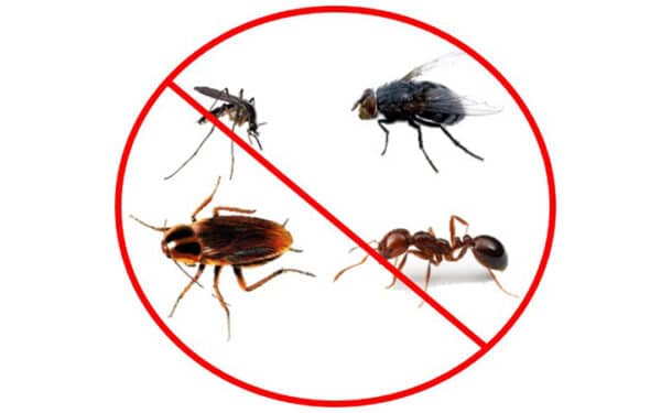 Insecticida