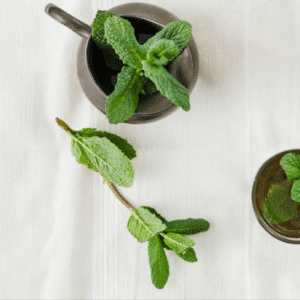 Fragancia Menta