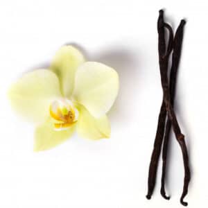 Fragancia Vainilla